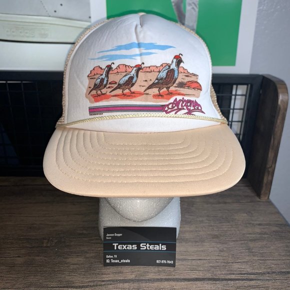 Vintage Other - Arizona Bird Trio Desert Hat